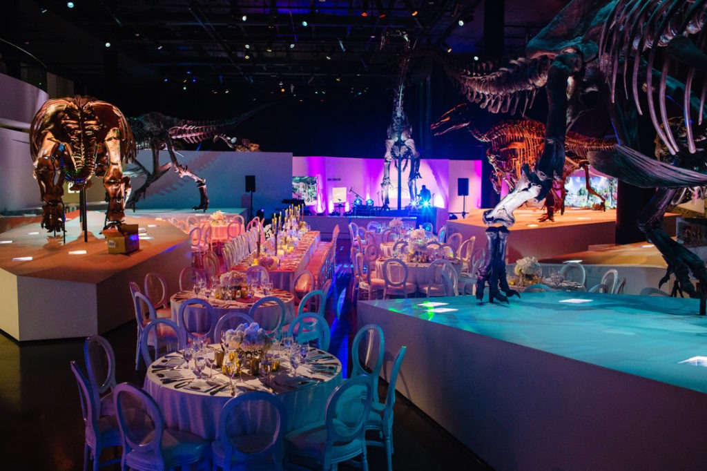 Houston Museum of Natural Science wedding reception photo