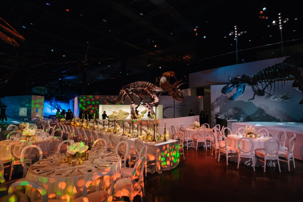 Houston Museum of Natural Science wedding reception photo