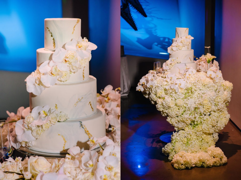 Houston Museum of Natural Science wedding reception photo
