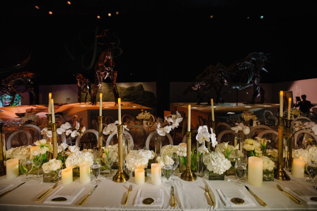 Houston Museum of Natural Science wedding reception photo