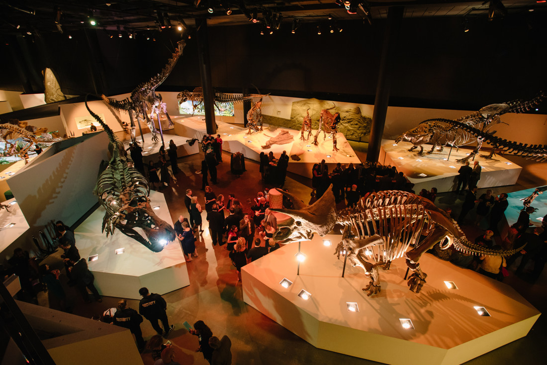 Houston Museum of Natural Science Wedding Ceremony Reception (34)