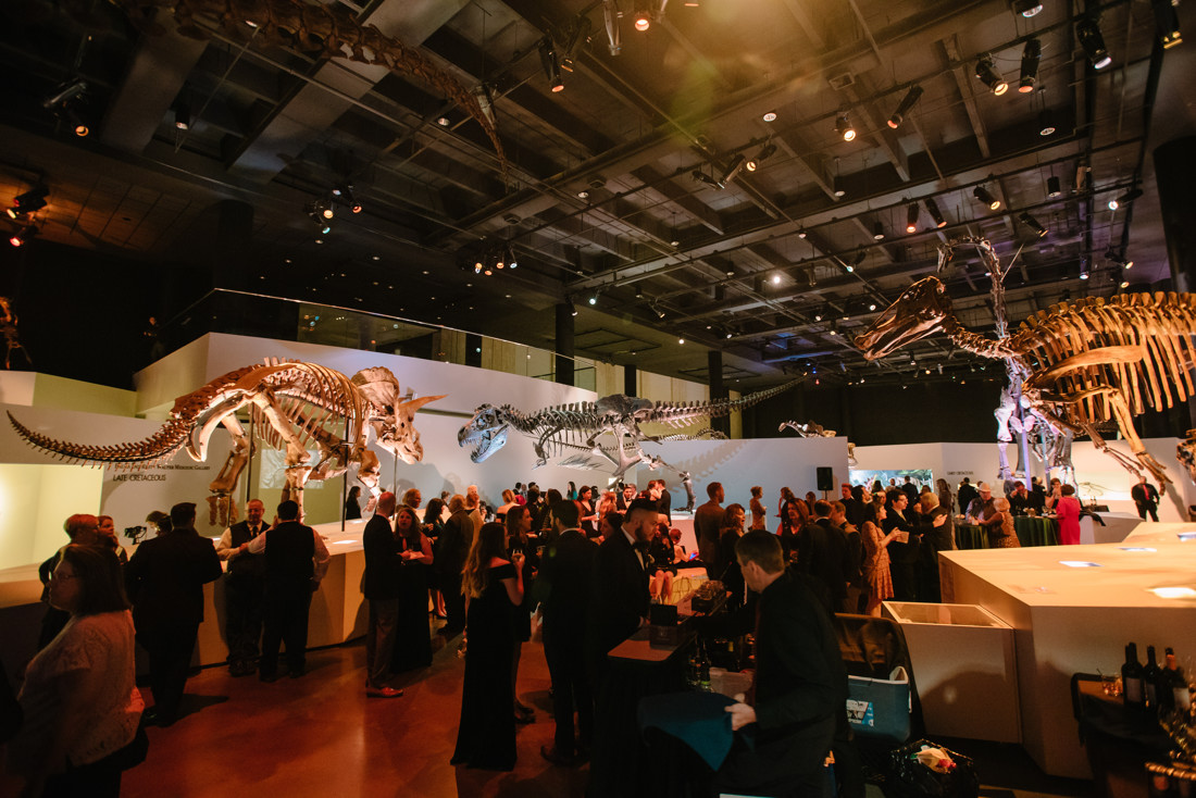 Houston Museum of Natural Science Wedding Ceremony Reception (35)
