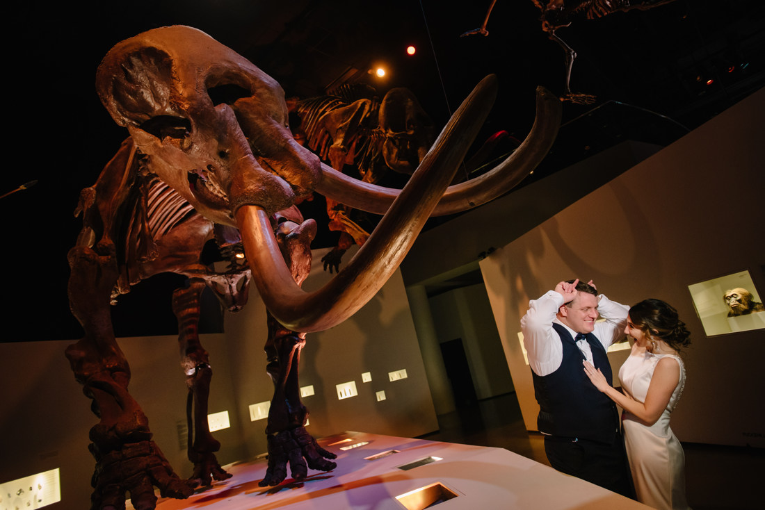 Houston museum of natural science wedding