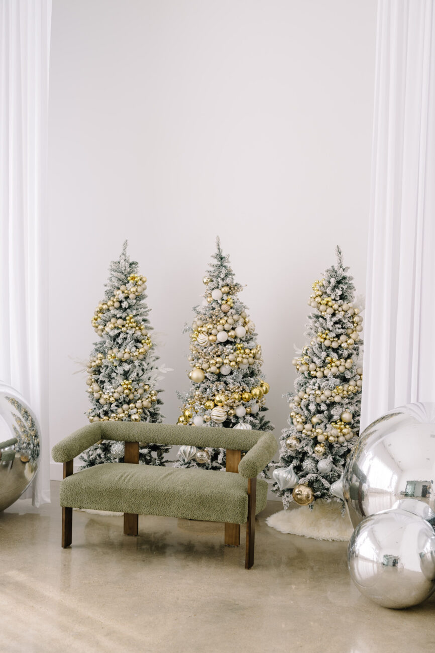 Solarium Studios Christmas