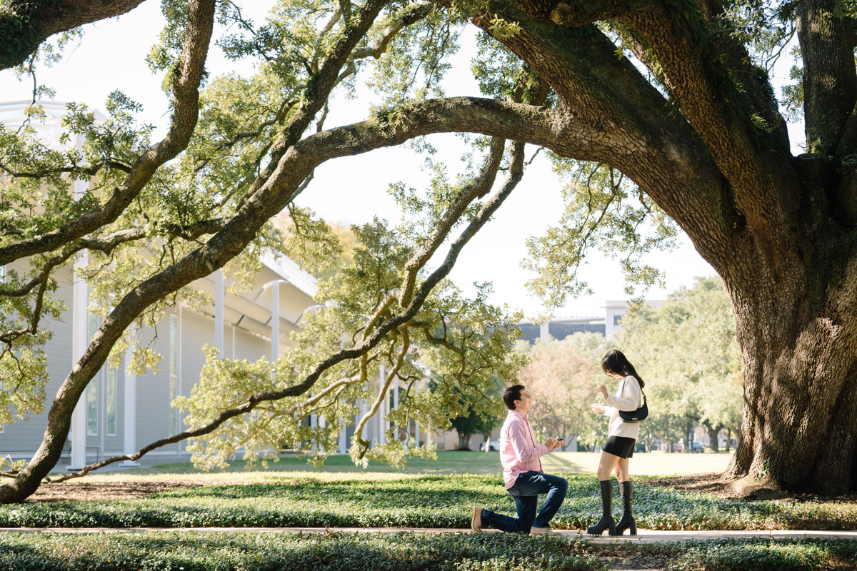 houston proposal photography at the menil collection museum best proposal location in houston