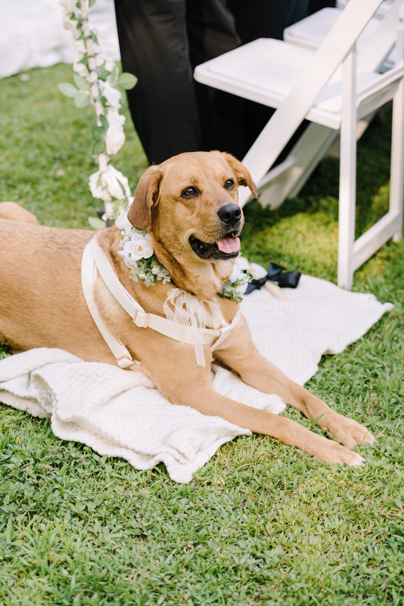 chateau nouvelle wedding photo outdoor ceremony reception best houston wedding photographers photographer