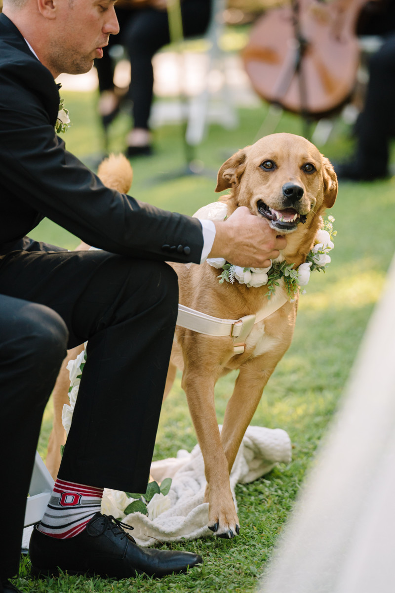 chateau nouvelle wedding photo outdoor ceremony reception best houston wedding photographers photographer