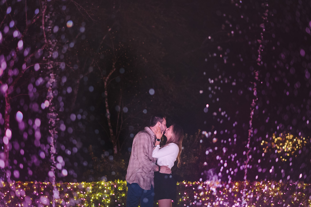 Bayou bend garden Christmas engagement proposal location best houston photographer