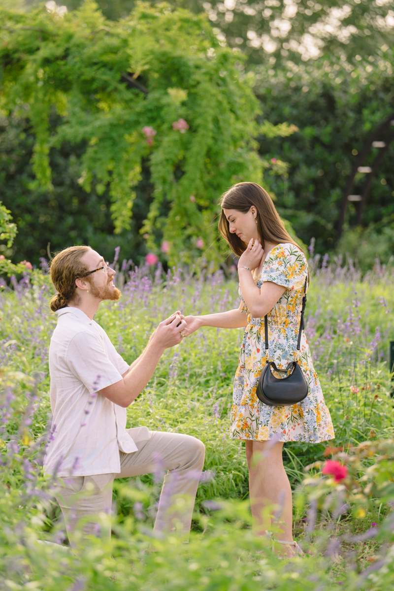 Engagement proposal at centennial gardens hermann park best houston proposal photographer