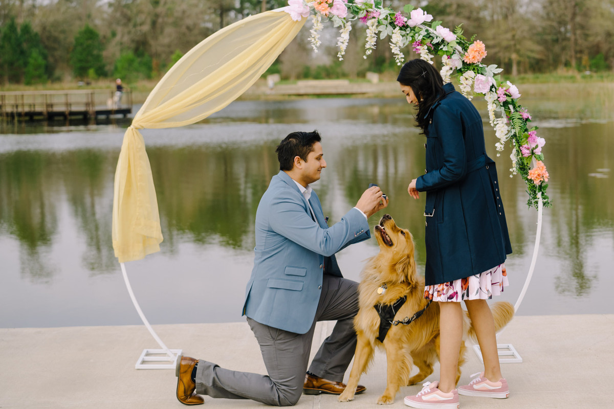 Engagement proposal at eastern glades memorial park best houston proposal photographer