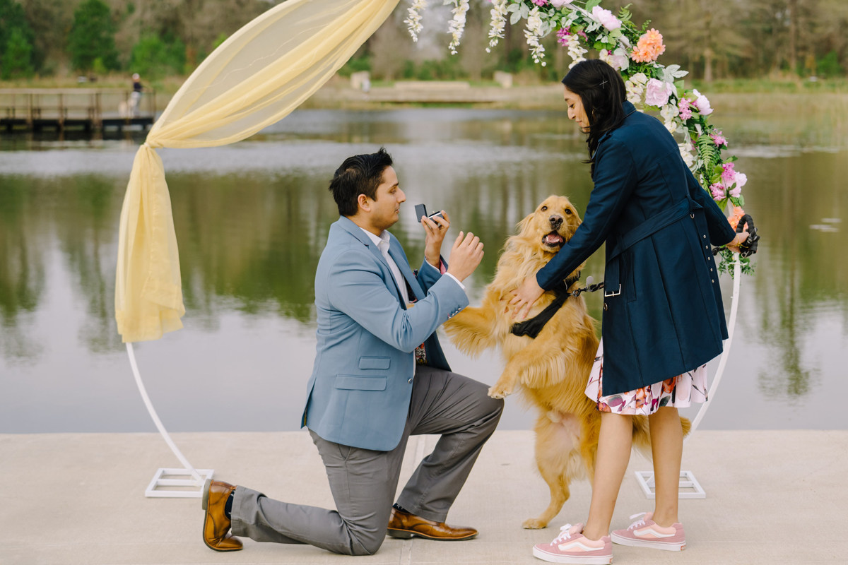 Engagement proposal at eastern glades memorial park best houston proposal photographer
