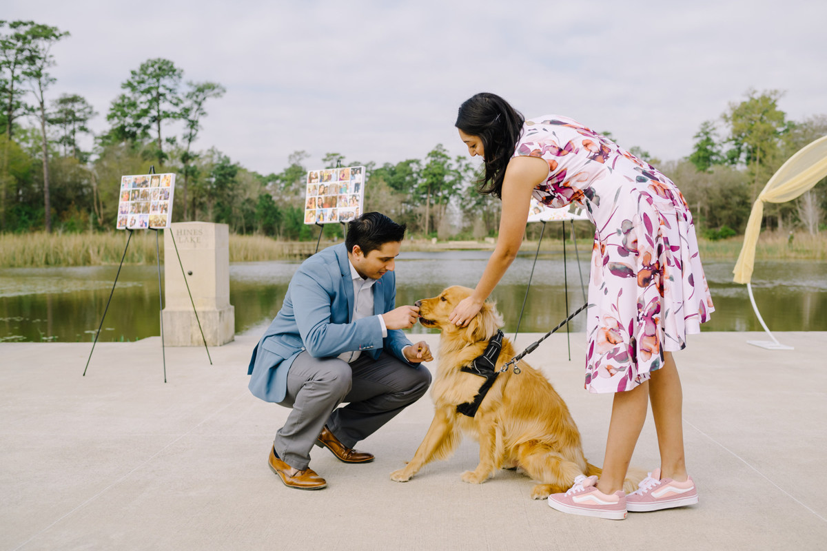 Engagement proposal at eastern glades memorial park best houston proposal photographer