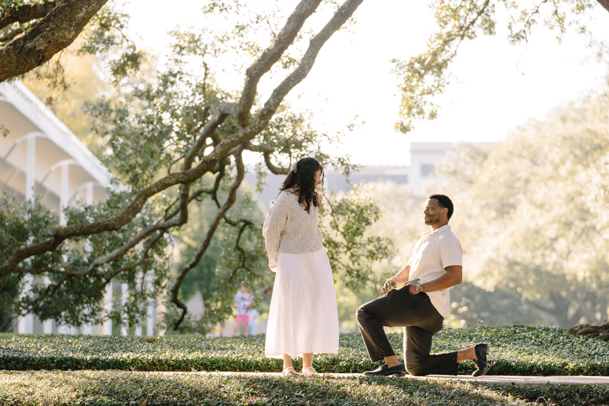 Menil tree museum collection proposal location best houston photographer