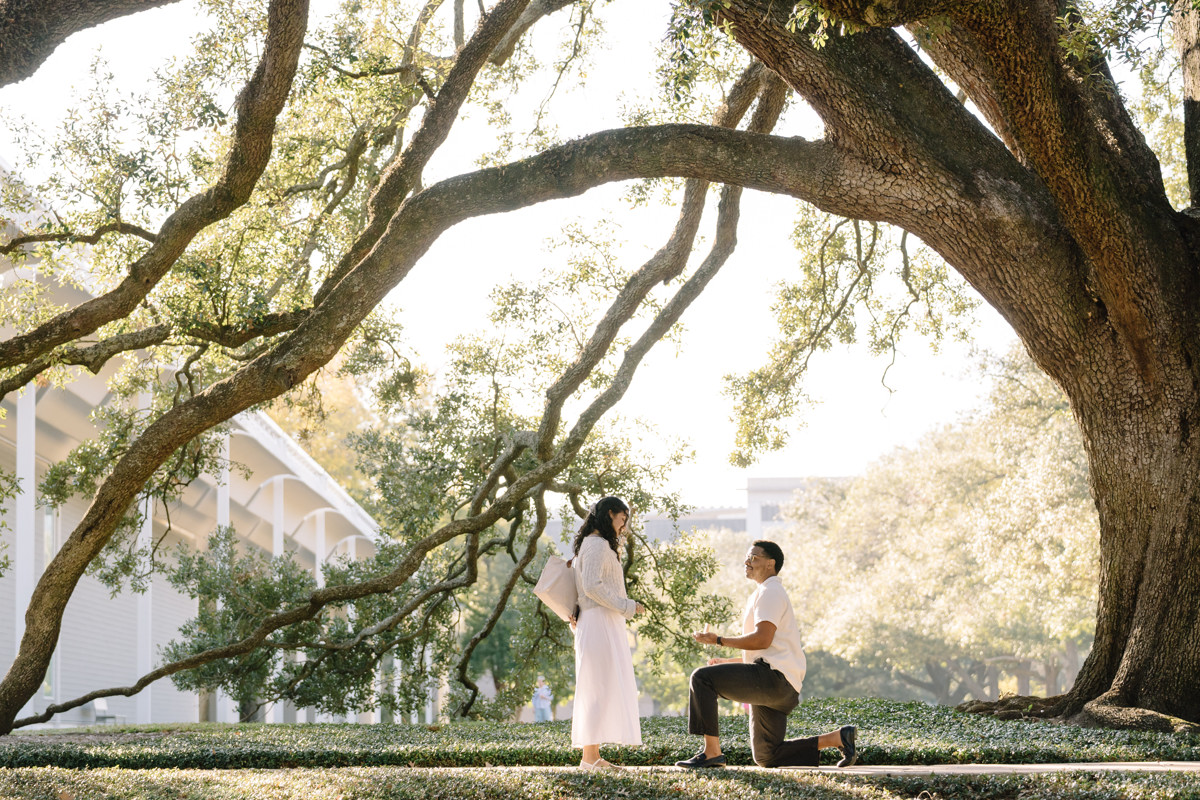 Menil tree museum collection proposal location best houston photographer