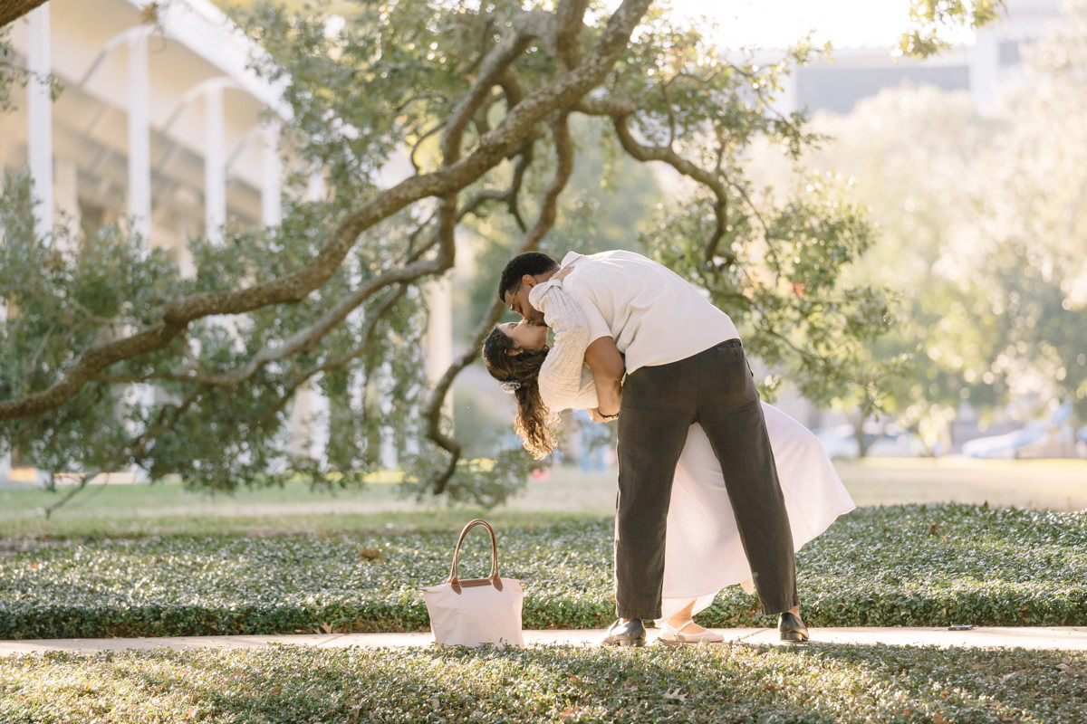 Menil tree museum collection proposal location best houston photographer