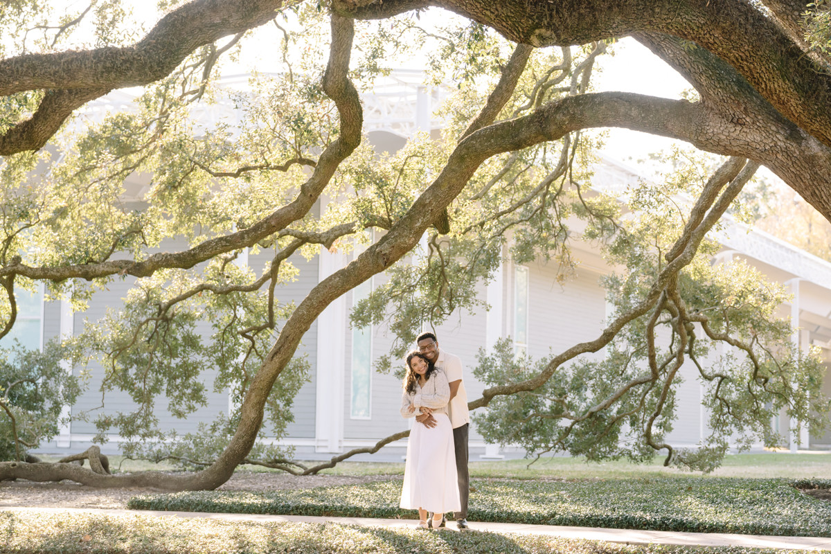 Menil tree museum collection proposal location best houston photographer