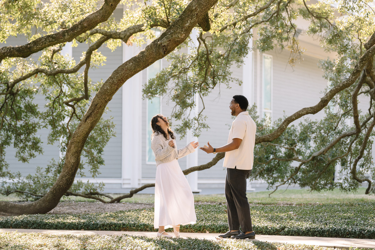 Menil tree museum collection proposal location best houston photographer