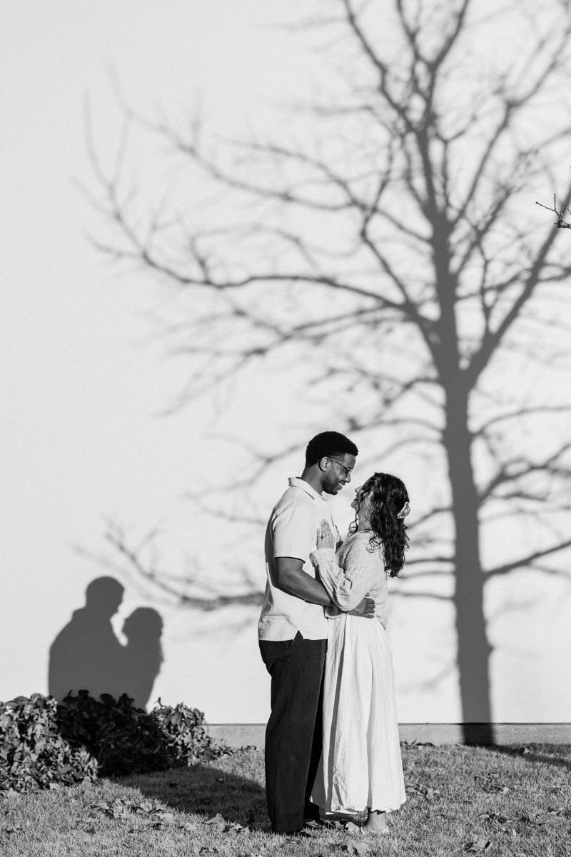 Menil tree museum collection proposal location best houston photographer