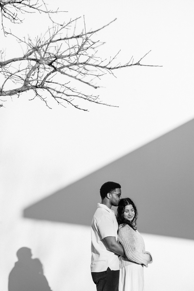 Menil tree museum collection proposal location best houston photographer