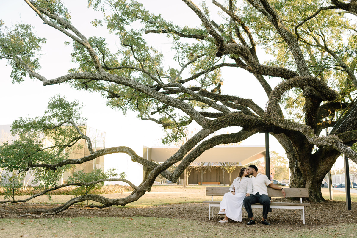 Menil tree museum collection proposal location best houston photographer