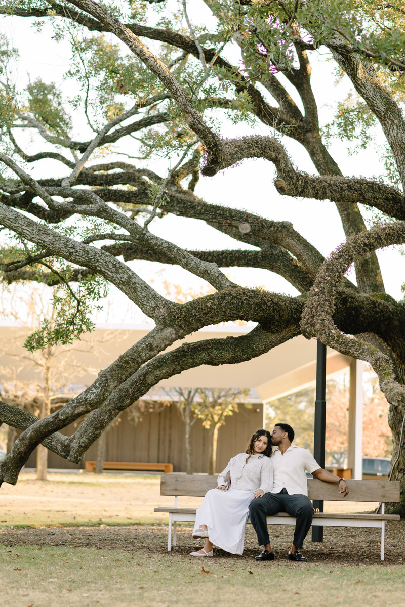 Menil tree museum collection proposal location best houston photographer